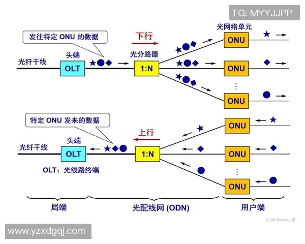 足球明星之间的亲密关系与合作网络全景图解析