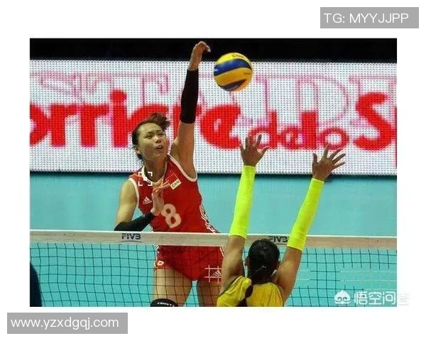 武汉排球队快攻战术深度解析与实战应用探讨